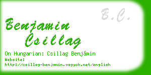 benjamin csillag business card